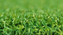 Load image into Gallery viewer, TRULAWN-TRUPUTT

