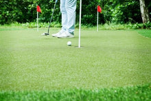 Load image into Gallery viewer, TRULAWN-TRUPUTT
